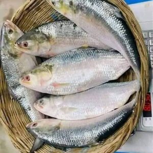 ৬ পিছে ৫ কেজি ২০০০ টাকা