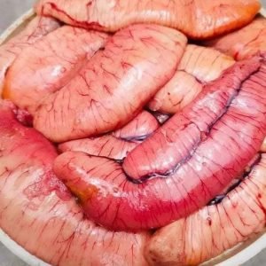 ৩ কেজি ডিম ২৪০০টাকা