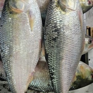৫ পিসে ৫ কেজি ২৫০০ টাকা